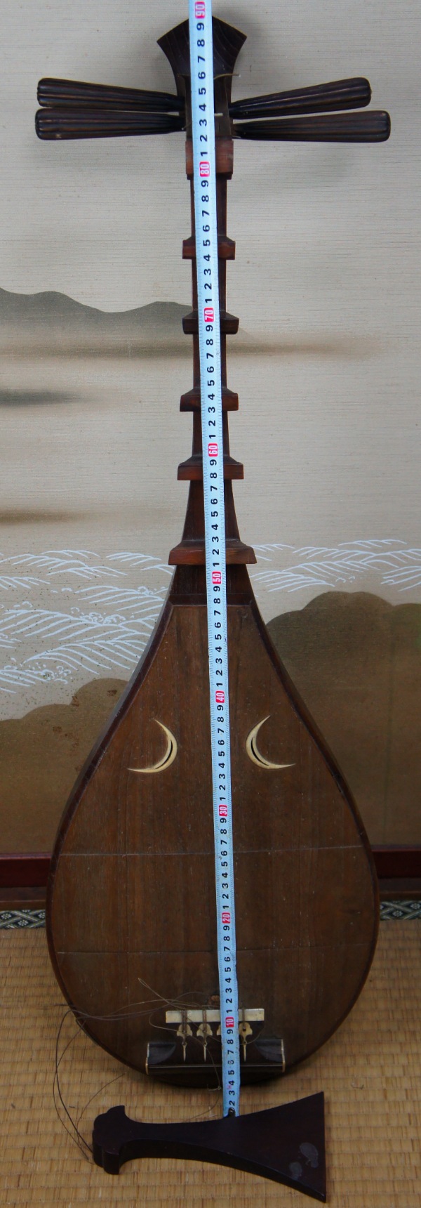 Biwa Biwa
