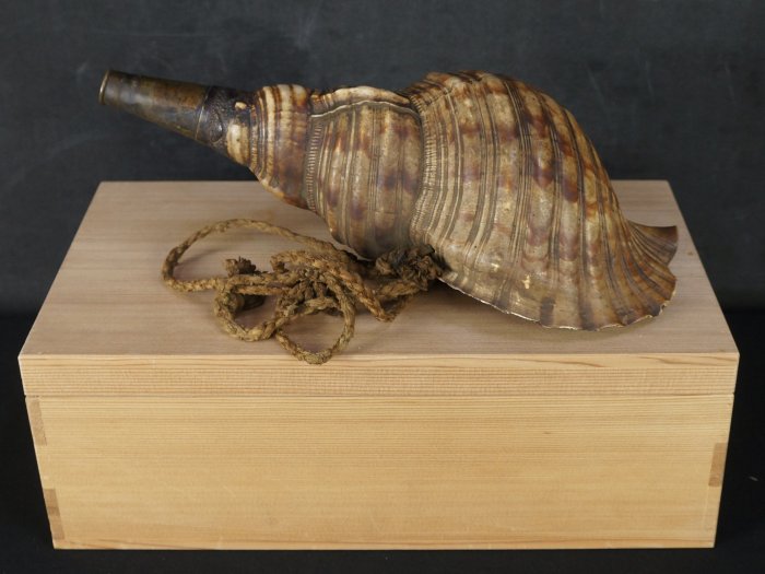 Horagai Samurai horn 1800