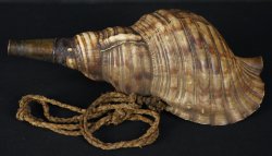 Horagai Samurai horn 1800