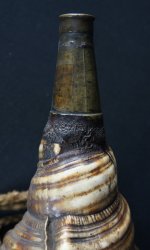 Horagai Samurai horn 1800