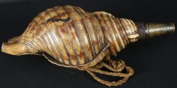 Horagai Samurai horn 1800