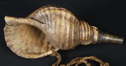Horagai Samurai horn 1800