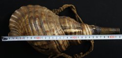 Horagai Samurai horn 1800