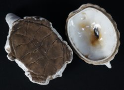 Suzuri-Game turtle 1850