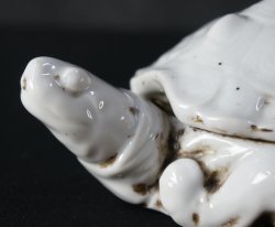 Suzuri-Game turtle 1850