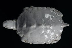 Suzuri-Game turtle 1850