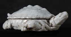 Suzuri-Game turtle 1850