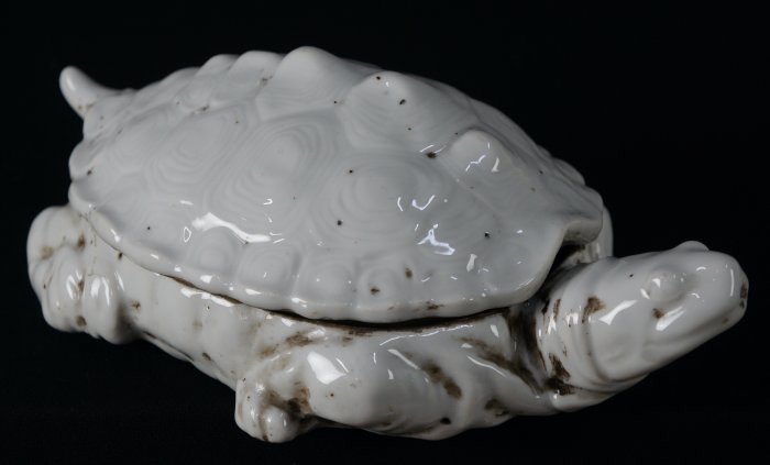 Suzuri-Game turtle 1850