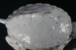 Suzuri-Game turtle 1850