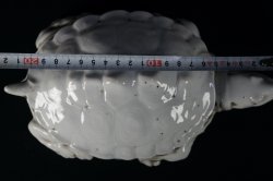 Suzuri-Game turtle 1850