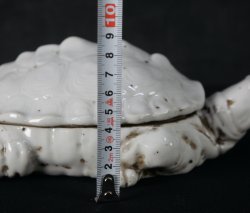 Suzuri-Game turtle 1850