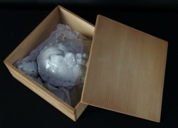 Suzuri-Game turtle 1850