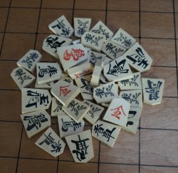 Shogi Shinkaya chess 1950