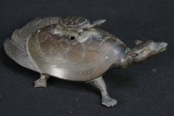 Suiteki turtle 1800