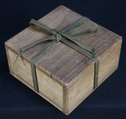 Suiteki turtle 1800