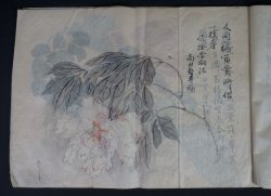 Shibata manuscript 1883