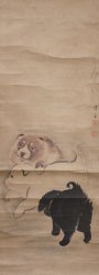 Inu puppies Shogen 1900