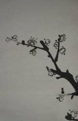 Ume spring 1950