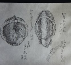 Shibata Junzou footwear 1880