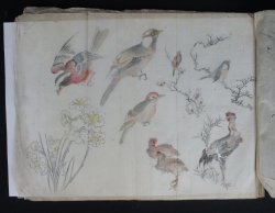 Miniature manuscript 1868