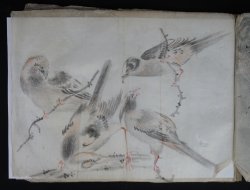 Miniature manuscript 1868