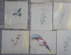 Fujiwara watercolour 1800