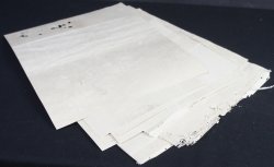 Fujiwara watercolour 1800