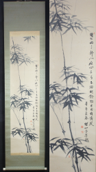 Spring bamboo 1971