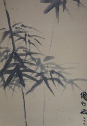 Spring bamboo 1971