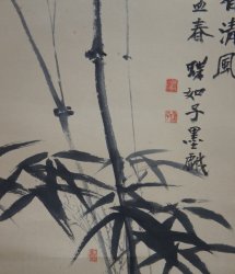 Spring bamboo 1971