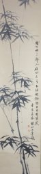 Spring bamboo 1971