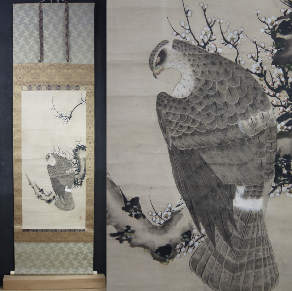 Taka falcon Shyouei XVI