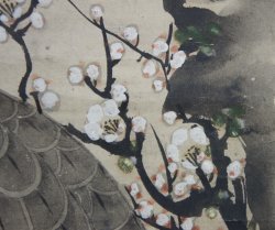 Taka falcon Shyouei XVI
