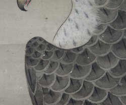 Taka falcon Shyouei XVI