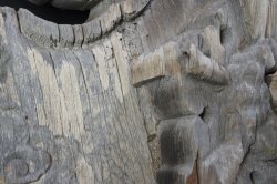 Buddhist temple architecture 1800