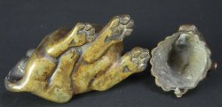 Shishi lion-dog Koro 1880