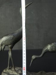Japan garden birds 1900