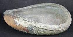 Bizen Suiban floral 1900