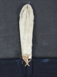 Temple banner dragon 1750