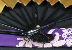 Odorisensu Maiko 1900