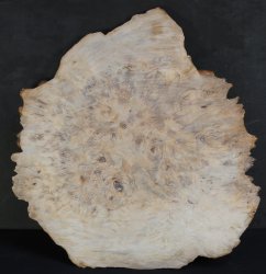 Ikebana base Dai 1970