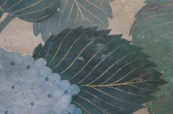 Hanaichi Ajisai 1880