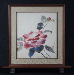 Tsubaki camellia 1980