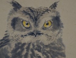 Night Owl Sakura 1950