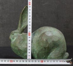 Saigusa rabbit 1970