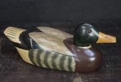 Hirose duck 1970