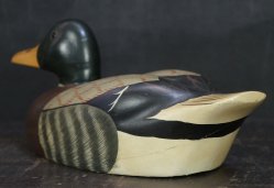 Hirose duck 1970