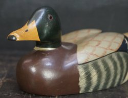 Hirose duck 1970