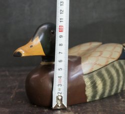 Hirose duck 1970