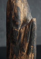 Primitive Japan 1600